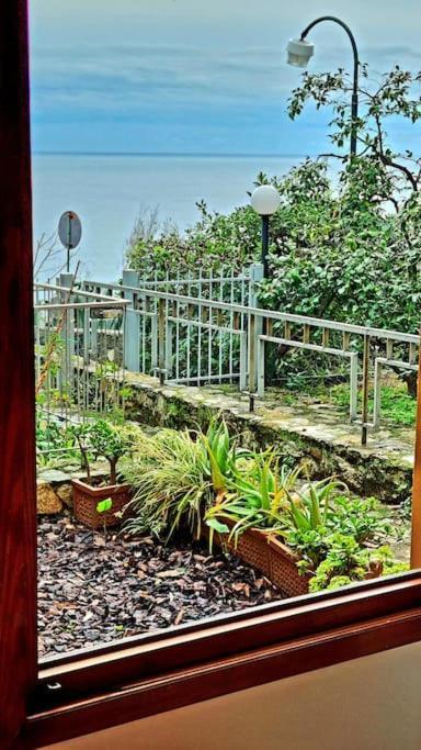 Casa Con Giardino: 瓦拉泽 外观 照片